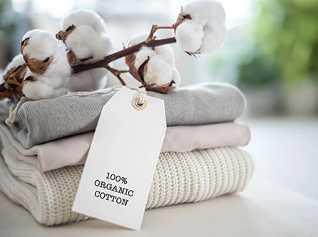 Brochure Printing Service